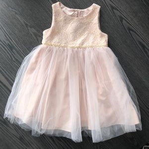 Cat & Jack Blush & Gold Tulle Dress